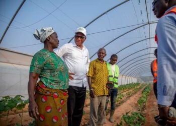 Bruno Koné sur des sites de production agricole