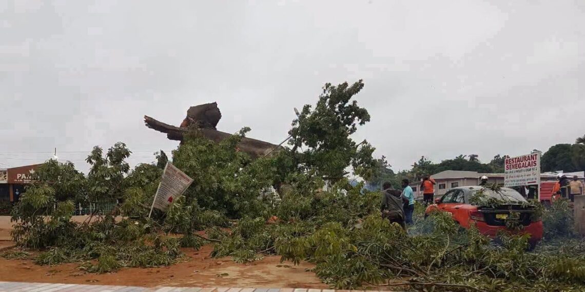 Bouaké / Drame : le célèbre fromager de Nimbo s’écroule et fait plusieurs victimes dont 3 morts