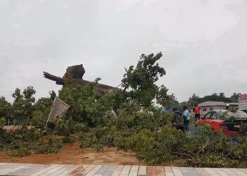 Bouaké / Drame : le célèbre fromager de Nimbo s’écroule et fait plusieurs victimes dont 3 morts