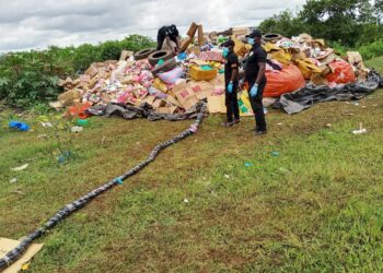 Poro, Bagoué, Tchologo : des tonnes de drogues de plus de 200 millions de F CFA incinérées à Korhogo
