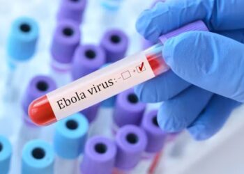 Ebola en Rdc, au Soudan du Sud et en Ouganda : la Bad débloque plus de 7,4 milliards de Fcfa pour renforcer la riposte