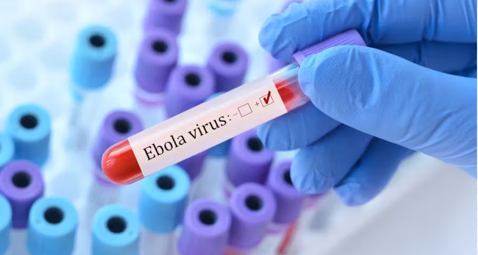 Ebola en Rdc, au Soudan du Sud et en Ouganda : la Bad débloque plus de 7,4 milliards de Fcfa pour renforcer la riposte