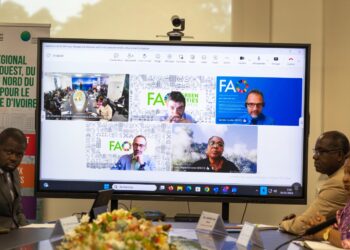 Transition écologique : la côte d’ivoire renforce sa coopération avec la fao et l’italie pour des villes plus résilientes