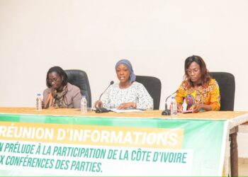 Participation aux cop 2026 : le ministère en charge de l’environnement mobilise les acteurs nationaux