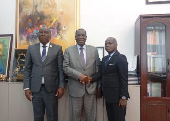 Ahoua N'doli et les nouvelles recrues du RHDP à M'batto