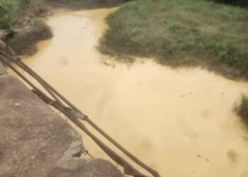 L'eau polluée par l'orpaillage