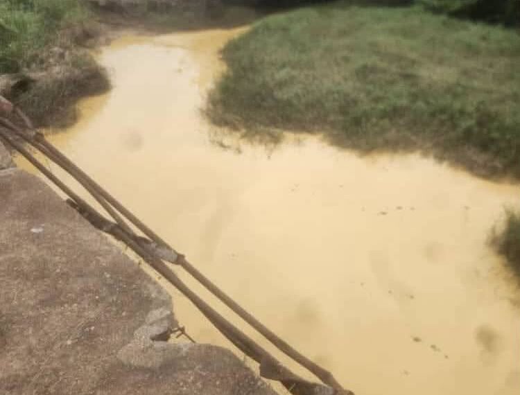 L'eau polluée par l'orpaillage