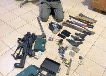 DS et les armes prises chez lui