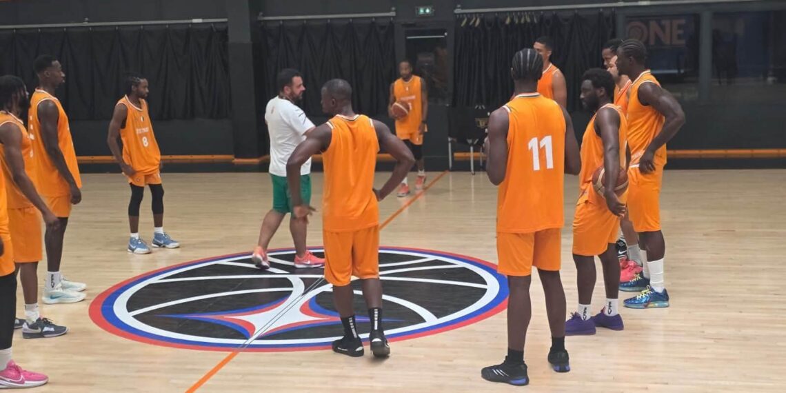 Eléphants basketteurs