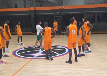 Eléphants basketteurs