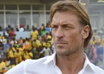 Hervé Renard, le retour du renard