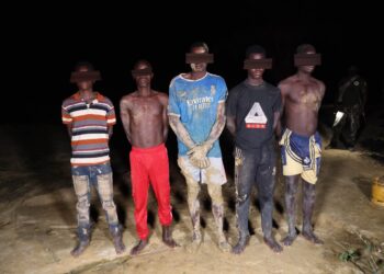 Orpaillage illégal : cinq individus interpellés dans la forêt classée de Diambarakro
