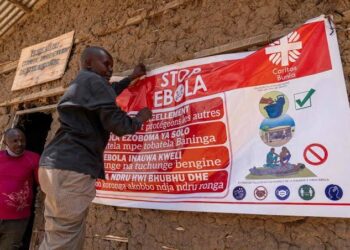 Ebola : la RDC, l’Ouganda, le Centrafrique et le Burundi réclament des financements coordonnés
