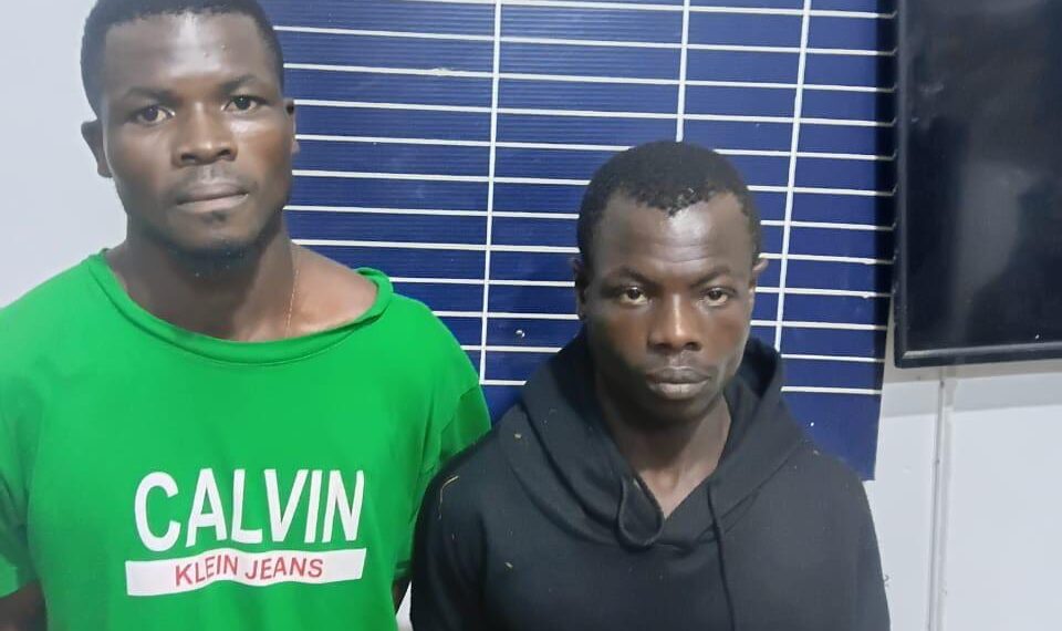 Crime crapuleux à Bangolo : un planteur tué dans son champ, deux présumés meurtriers interpellés