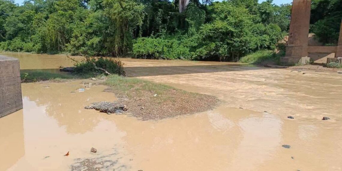 Orpaillage clandestin