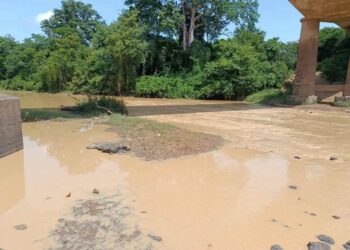 Orpaillage clandestin