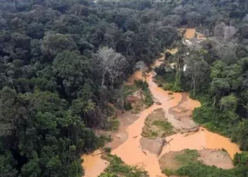 Orpaillage, désastre environnemental