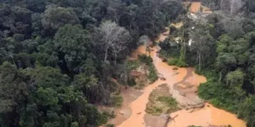 Orpaillage, désastre environnemental