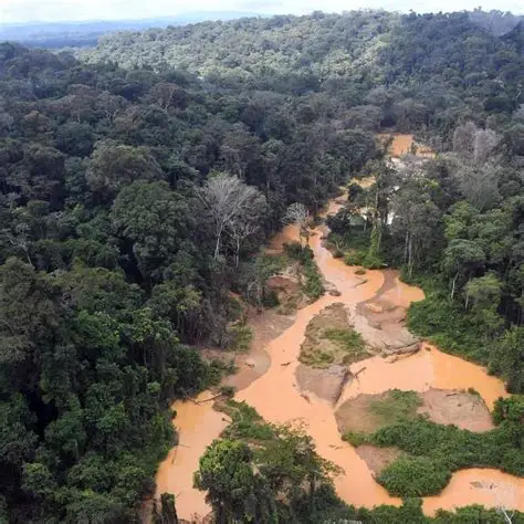 Orpaillage, désastre environnemental