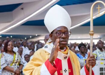Le Cardinal Bessi Dogbo