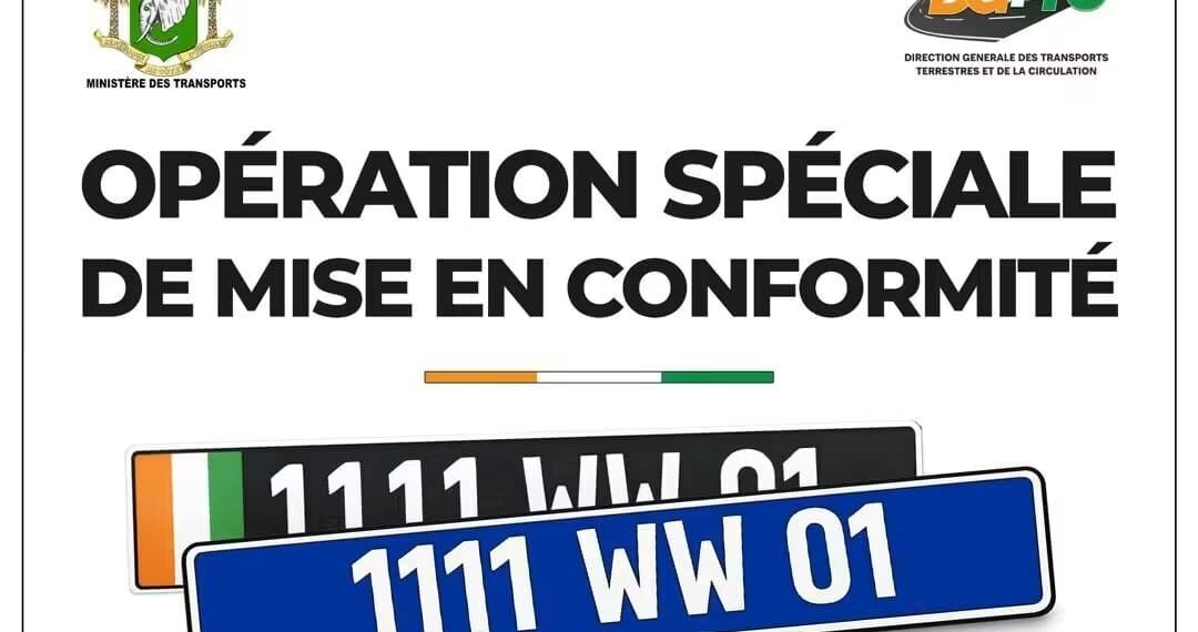 Immatriculations fantaisistes