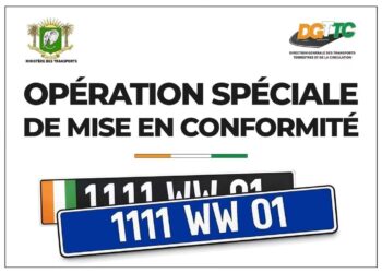 Immatriculations fantaisistes