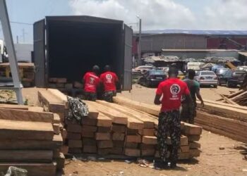 Vridi Petit Bassam : 350 éléments de bois issus du sciage illégal saisis