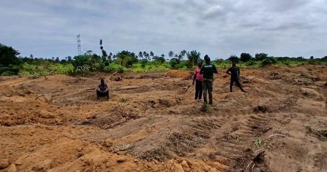 Jacqueville: 4 personnes arrêtées et 3 bulldozers saisis dans un vaste projet de lotissement de la forêt classée d’Audouin