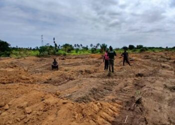 Jacqueville: 4 personnes arrêtées et 3 bulldozers saisis dans un vaste projet de lotissement de la forêt classée d’Audouin