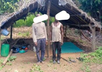 Forêt classée de Kani Bandama Rouge-Est : deux individus interpellés, dont un présumé vendeur de terres