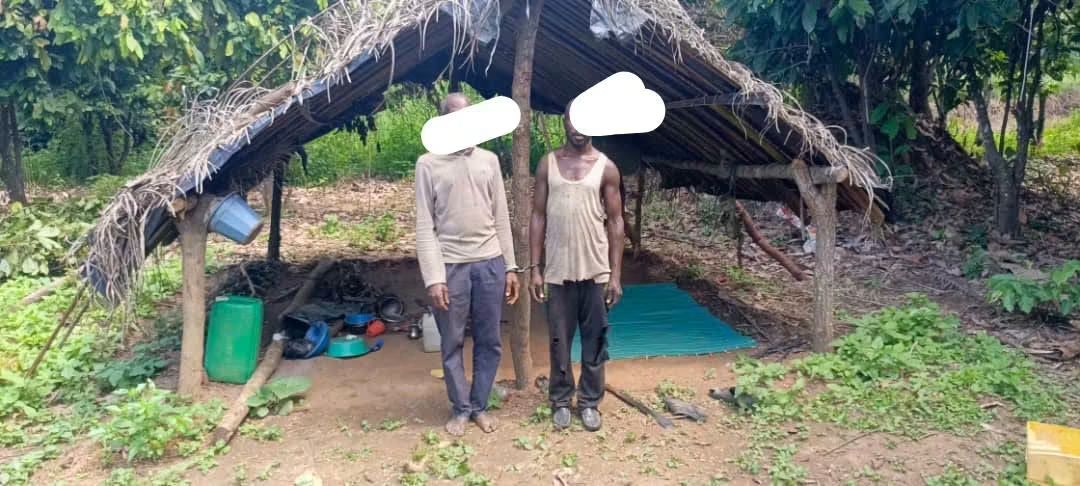 Forêt classée de Kani Bandama Rouge-Est : deux individus interpellés, dont un présumé vendeur de terres