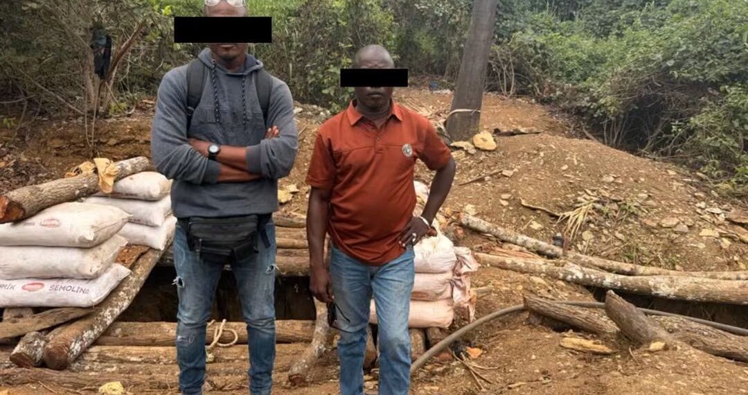 Orpaillage illégal : huit personnes interpellées dans la forêt classée de Bessé Boka à Tingréla
