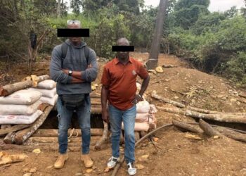 Orpaillage illégal : huit personnes interpellées dans la forêt classée de Bessé Boka à Tingréla