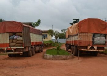 Fuite du cacao aux frontières