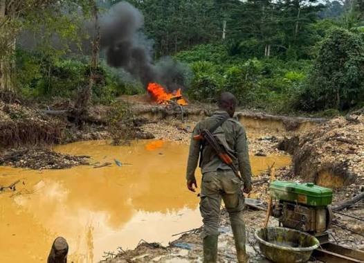 Orpaillage illégal : le Conseil national de sécurité annonce un nouveau dispositif de lutte