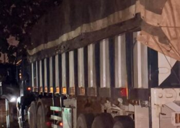Région de la Nawa : un camion-remorque de 30 tonnes transportant du bois issu du sciage illégal saisi à Mabehiri
