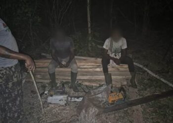 Sciage illégal : trois individus interpellés et quatre engins saisis par la BSSI à Arrah et Bongo