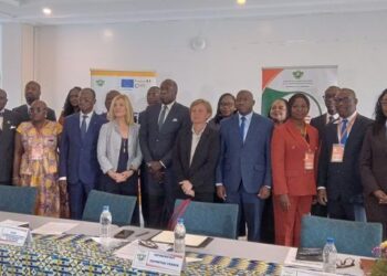 Création d’un Conseil des Ivoiriens de l’extérieur : un atelier ouvert par la tutelle à Bassam