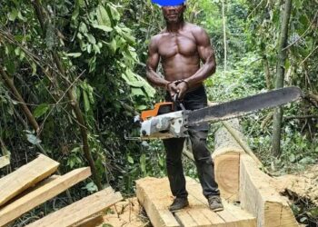 Forêt classée de N’Zodji : deux individus interpellés pour sciage à façon