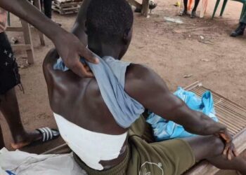 Éléphants en divagation : après un homme grièvement blessé à Badikaha, le ministère des Eaux et Forêts appelle à la vigilance