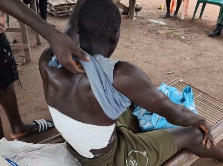 Éléphants en divagation : après un homme grièvement blessé à Badikaha, le ministère des Eaux et Forêts appelle à la vigilance