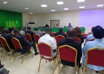 Bouaflé : le comité de lutte contre l’orpaillage illégal dévoile son plan d’actions