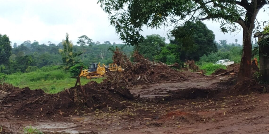 Forêt sacrée de Guianlé : des bulldozers menacent un patrimoine ancestral, la tension monte