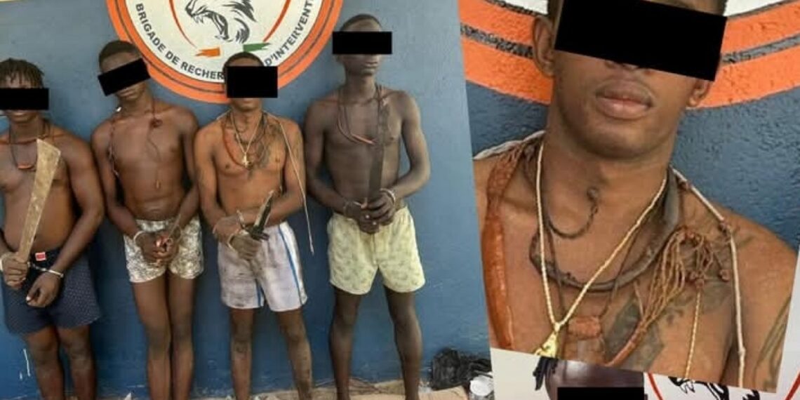 Marcory : un chef de gang réputé vendeur de drogue interpellé