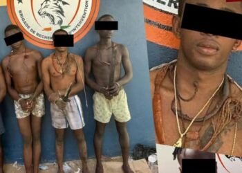 Marcory : un chef de gang réputé vendeur de drogue interpellé