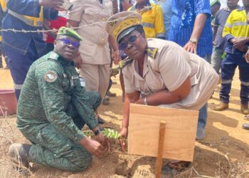 Préfète de Djékanou, Gisèle Aka, plante un arbre