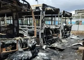Bus calcinés