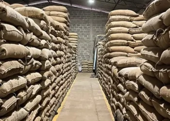 Stock de Cacao