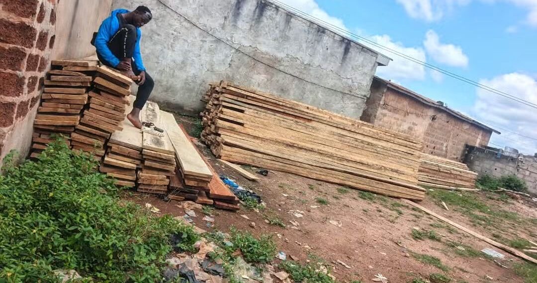 Sciage illégal : la BSSI saisit 1 185 pièces de bois à Toulepleu et Daloa