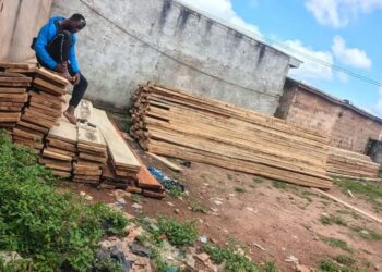 Sciage illégal : la BSSI saisit 1 185 pièces de bois à Toulepleu et Daloa